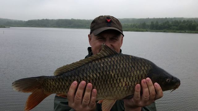 15 июня 2019 г