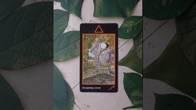 Для начинающих.Таро Манара.Фигурные арканы. Всадница Огня.