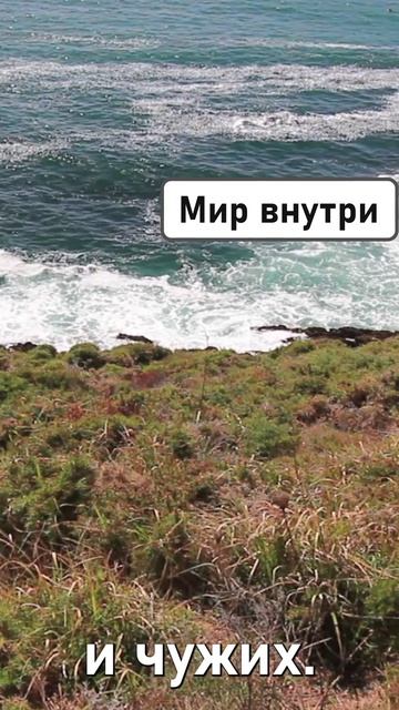 УТРЕННИЙ ЭЛИКСИР ЖЕНСТВЕННОСТИ |Пробуждение богини #shorts #душа