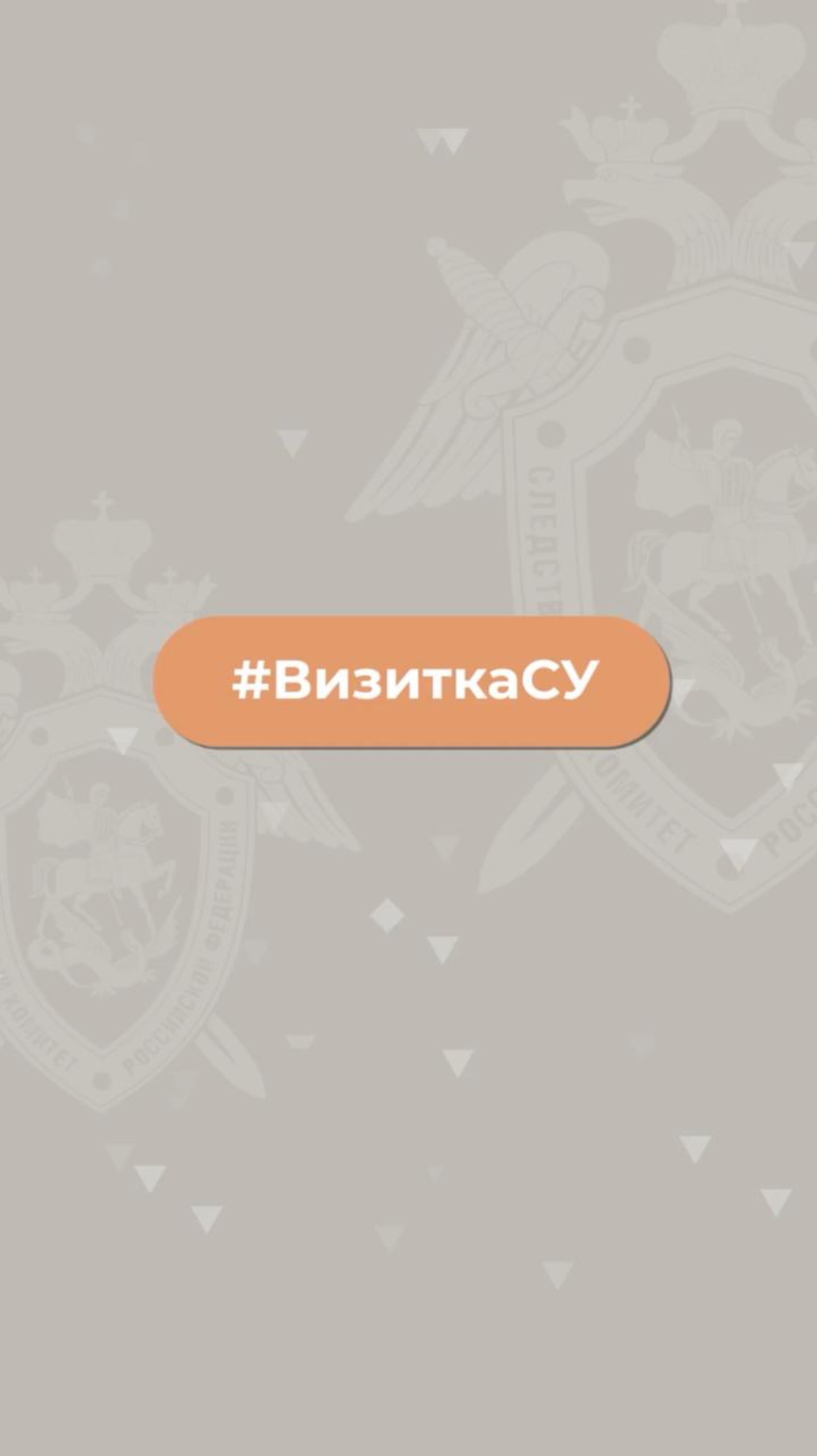 Следственное управление Следственного комитета Российской Федерации по Владимирской области