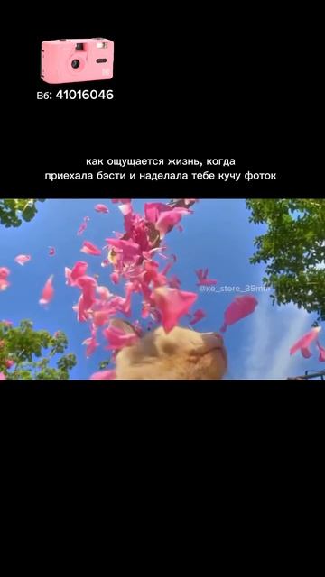🌸 Розовый Kodak M35 — артикул WB 41016046