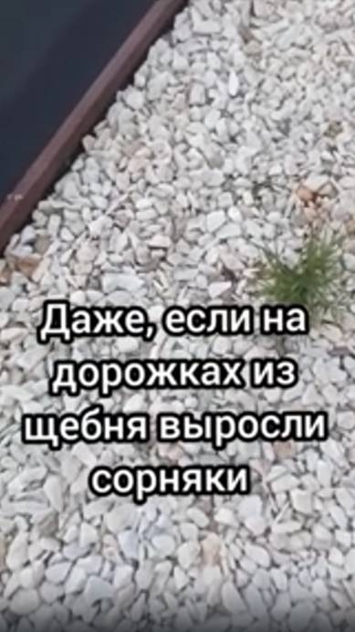 Сорняки на таких тропинках мне не приносят проблем