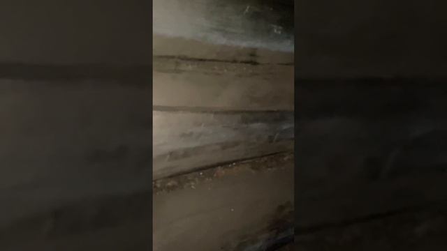 баня по черному
