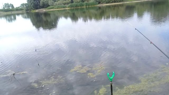 Это Клёво !