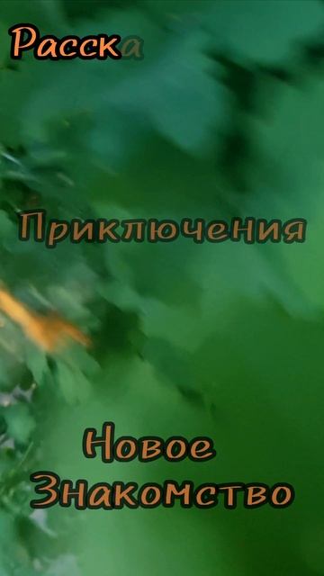 6 июня.
АСТРОЛРГИЯ ДНЯ.

Флирт, романтика и приключения.
Провернуть, познавательная активность ,общи