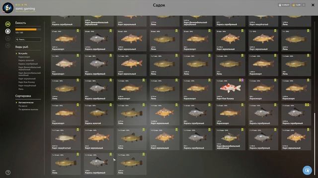 🌟ОЗЕРО МЕДНОЕ🌟1350 СЕРЫ ЗА ЧАС🌟Русская Рыбалка 4(РР4)?