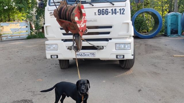 Моя Жизнь Кино @ Музей Псов