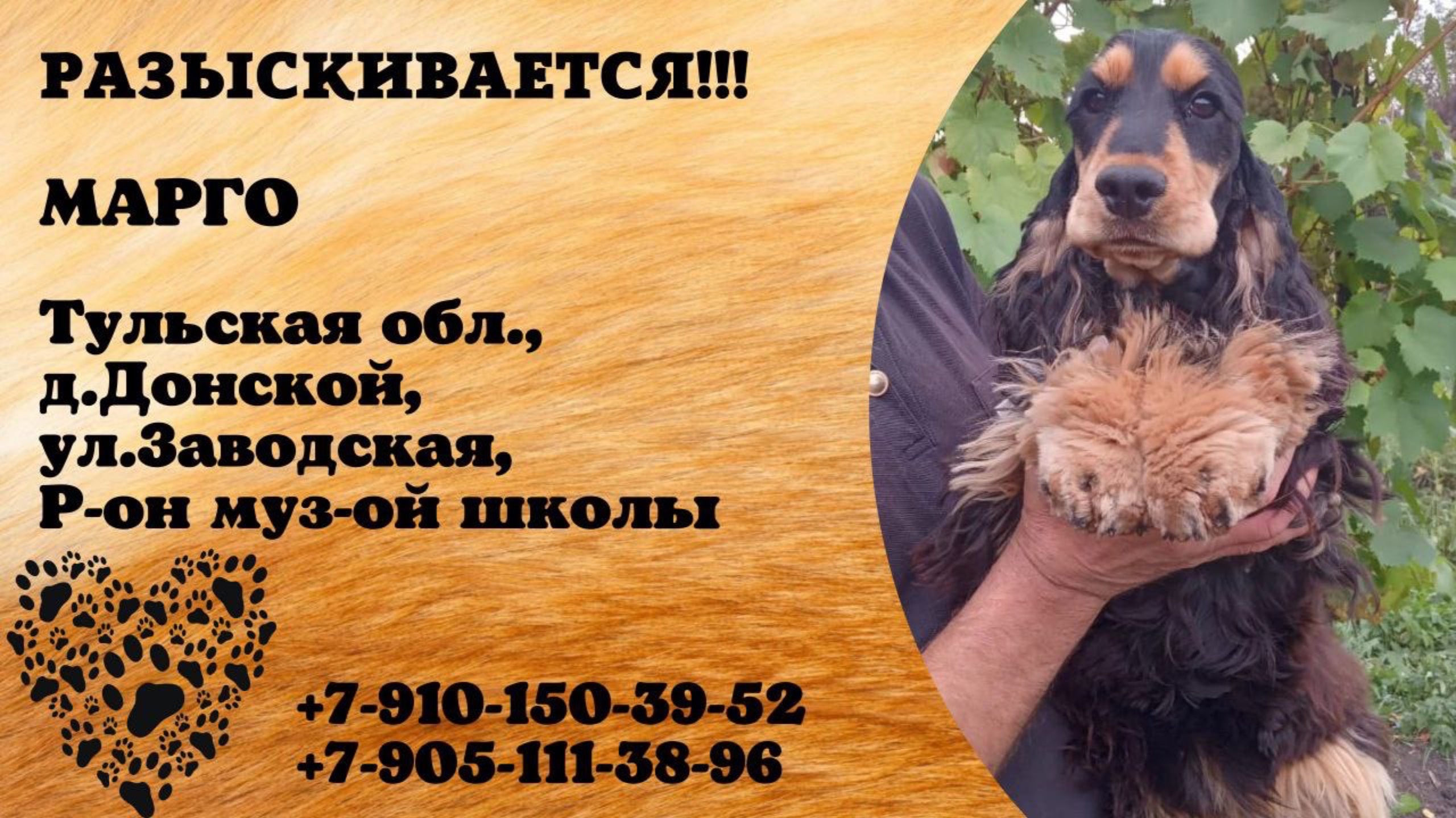 Пропала собака! МАРГО. Тульская обл., д.Донской.