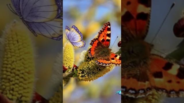 Апрелю привет сказала (5)