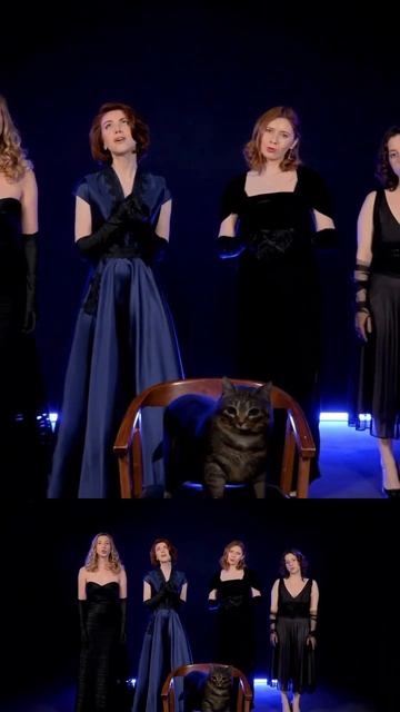 Обычный кот, ненужный кот… #мюзикл #котвсапогах #песня #клип2025 #клип #musical