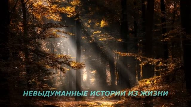 Истории из жизни. Мама, теперь ты счастлива? Аудио рассказ. Жизненные истории