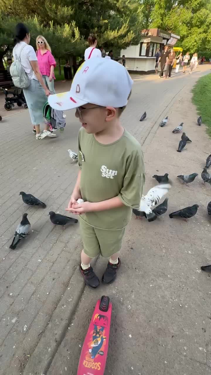 Нападение диких голубей!