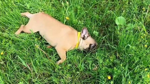1000024361.mp4