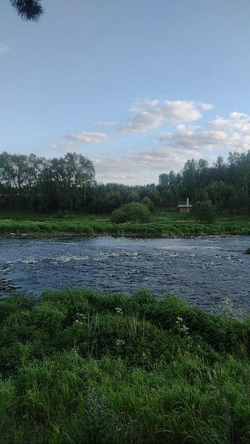 VID_20250604_194139130.mp4
