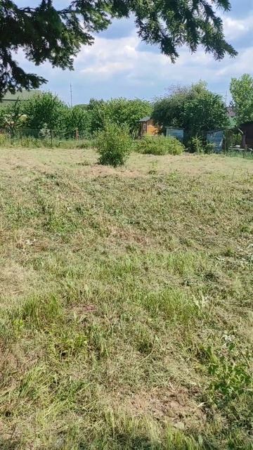 Покос Бурьяна Мульчером Вездекос #дача #покостравы #по