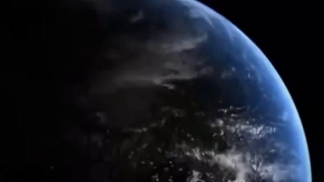 вот что дают черепахи 🐢