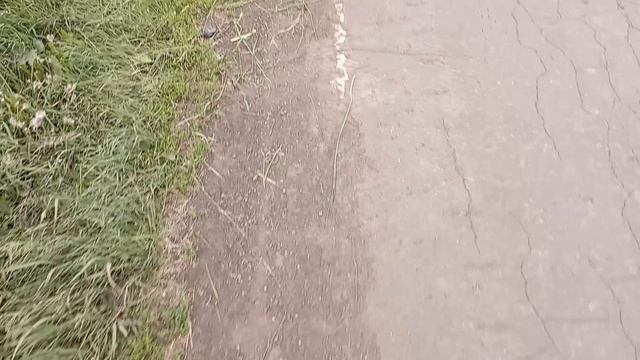 не хочет подойти и показать