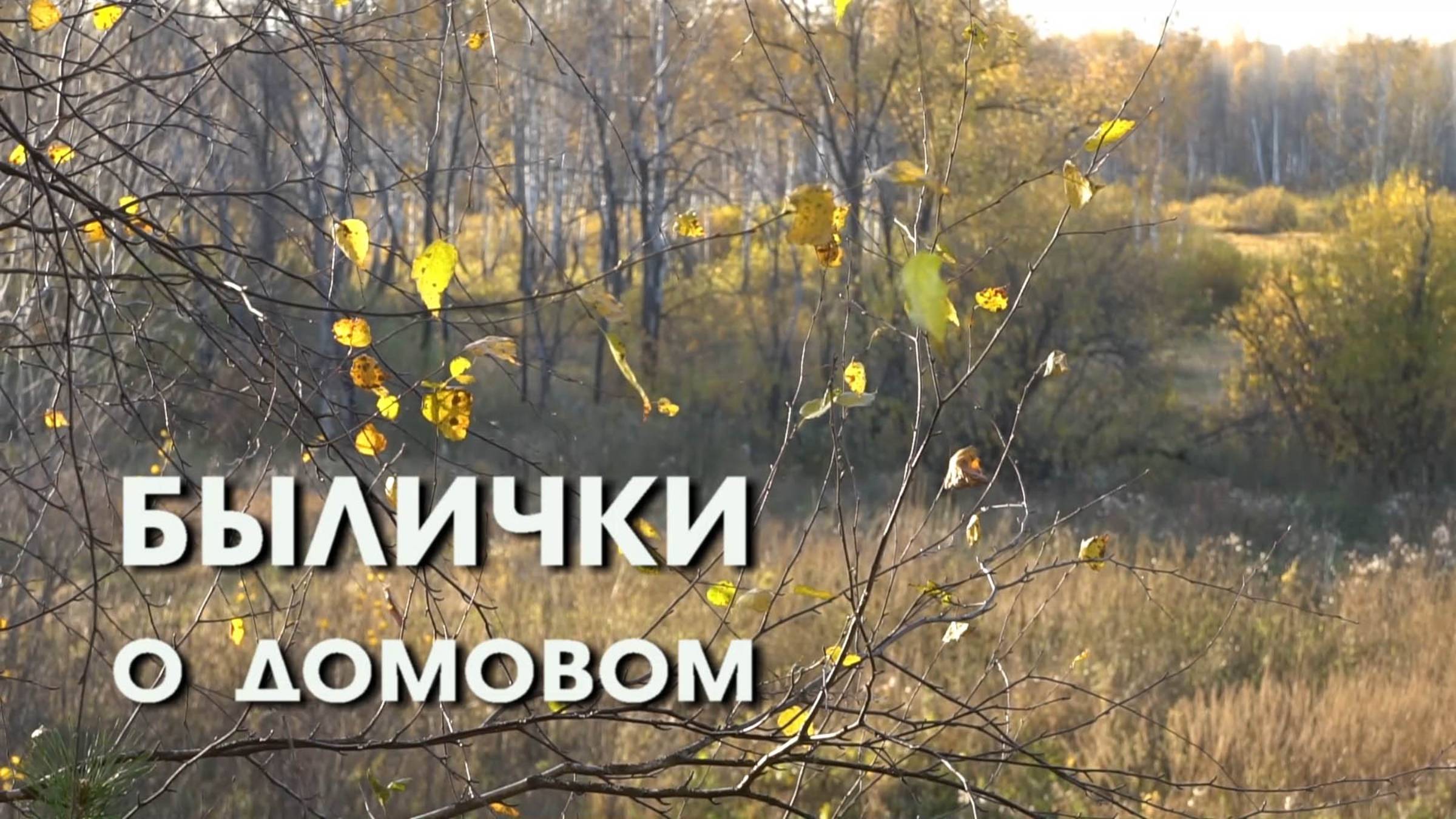 БЫЛИЧКИ о домовом