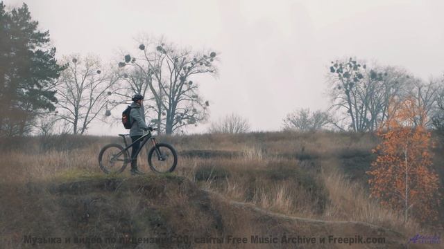 Музыка, которую не рекомендуют слушать слабонервным! - Dream Stroll -- Ketsa -- Abundance
