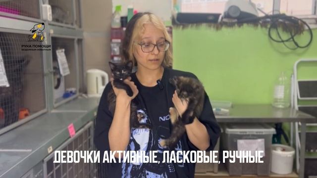 Продолжаем знакомство с новичками. Поддержать⬇️