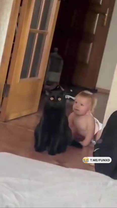 Он сзади, да?😃