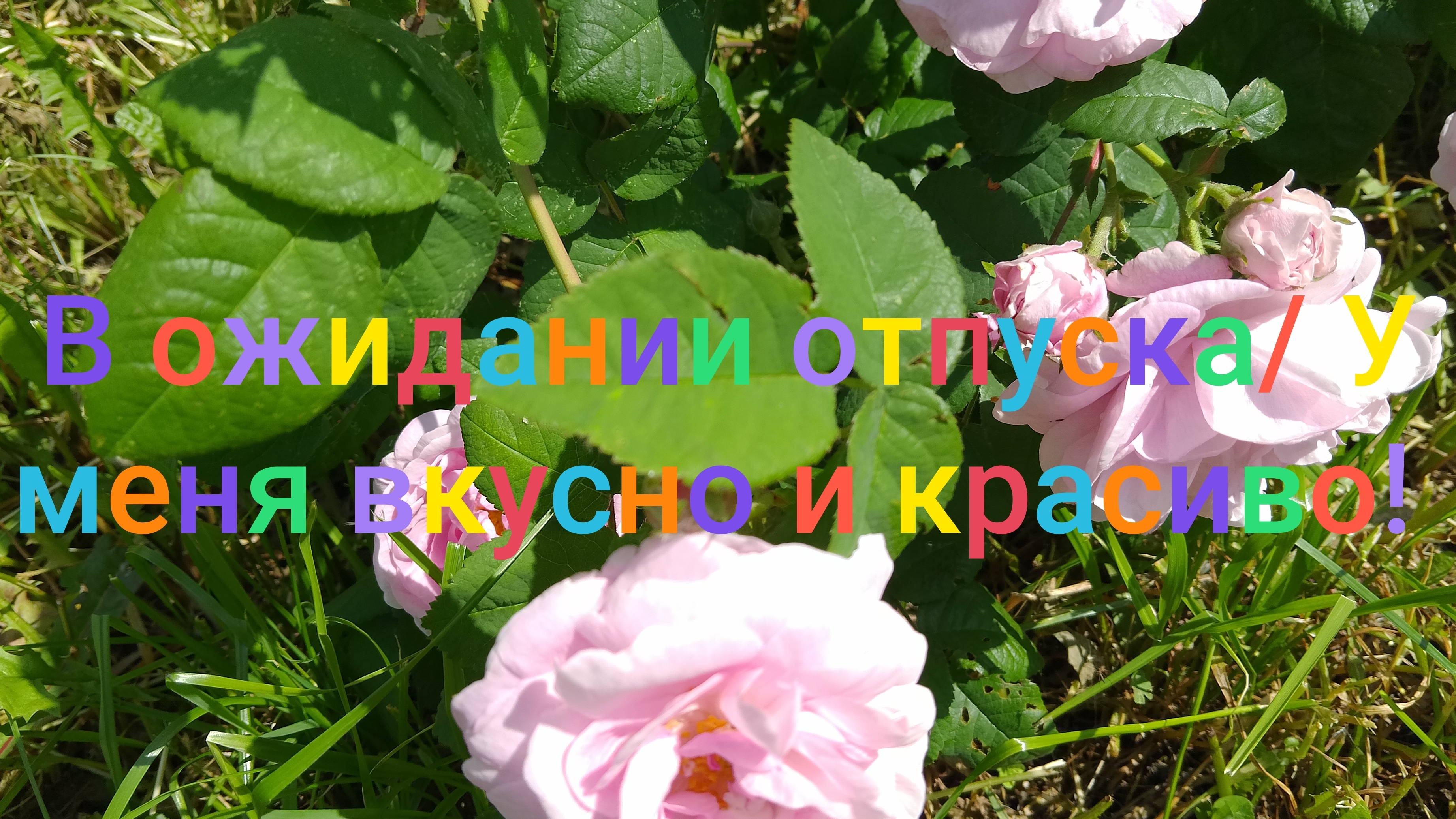 В ожидании отпуска/ У меня вкусно и красиво/