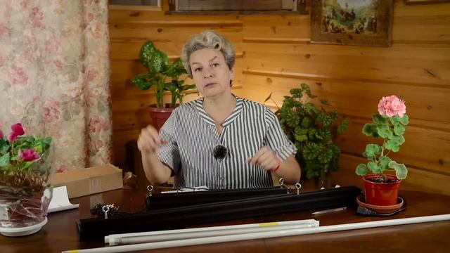 Какие растения досвечивать зимой