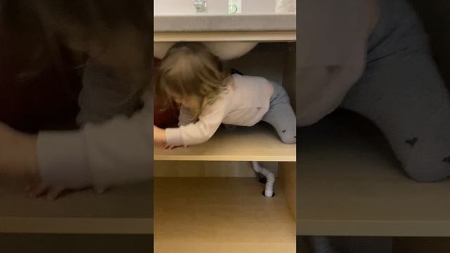 Василиса прячется