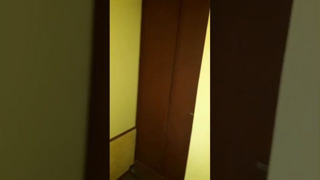 05-06-2025