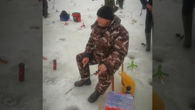 Отправить