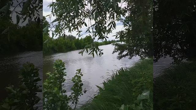 изолите видеть какая красота!