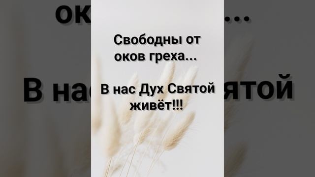 "МЫ - БОЖЬИ, ХРИСТОВЫ!!!" Слова, Музыка: Жанна Варламова
