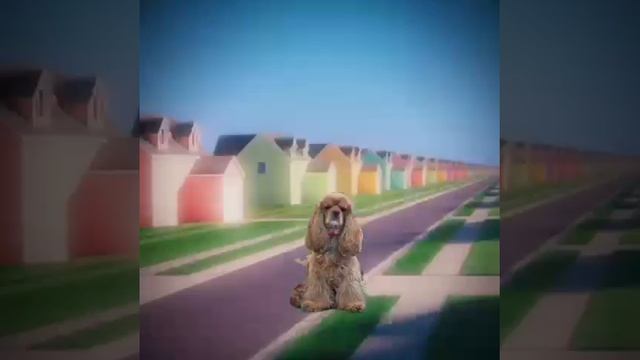 Edit