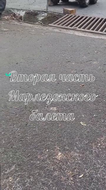 #юмор_2
