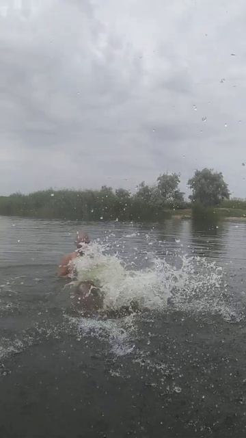 Рыбы относятся к водной стихии