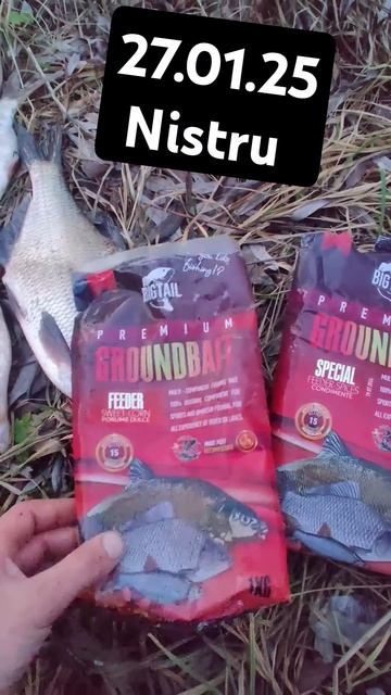 СУПЕР УЛОВ #рыбалка #fishing #carpfishing #carp #рыба #карп #кино #юм