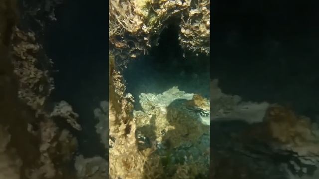 П. Раздолье. Харахунское озеро. Экскурсия. Гостевой до?