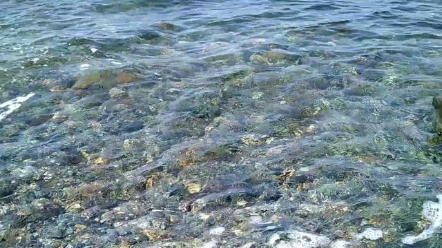 Шум моря и ветра.
