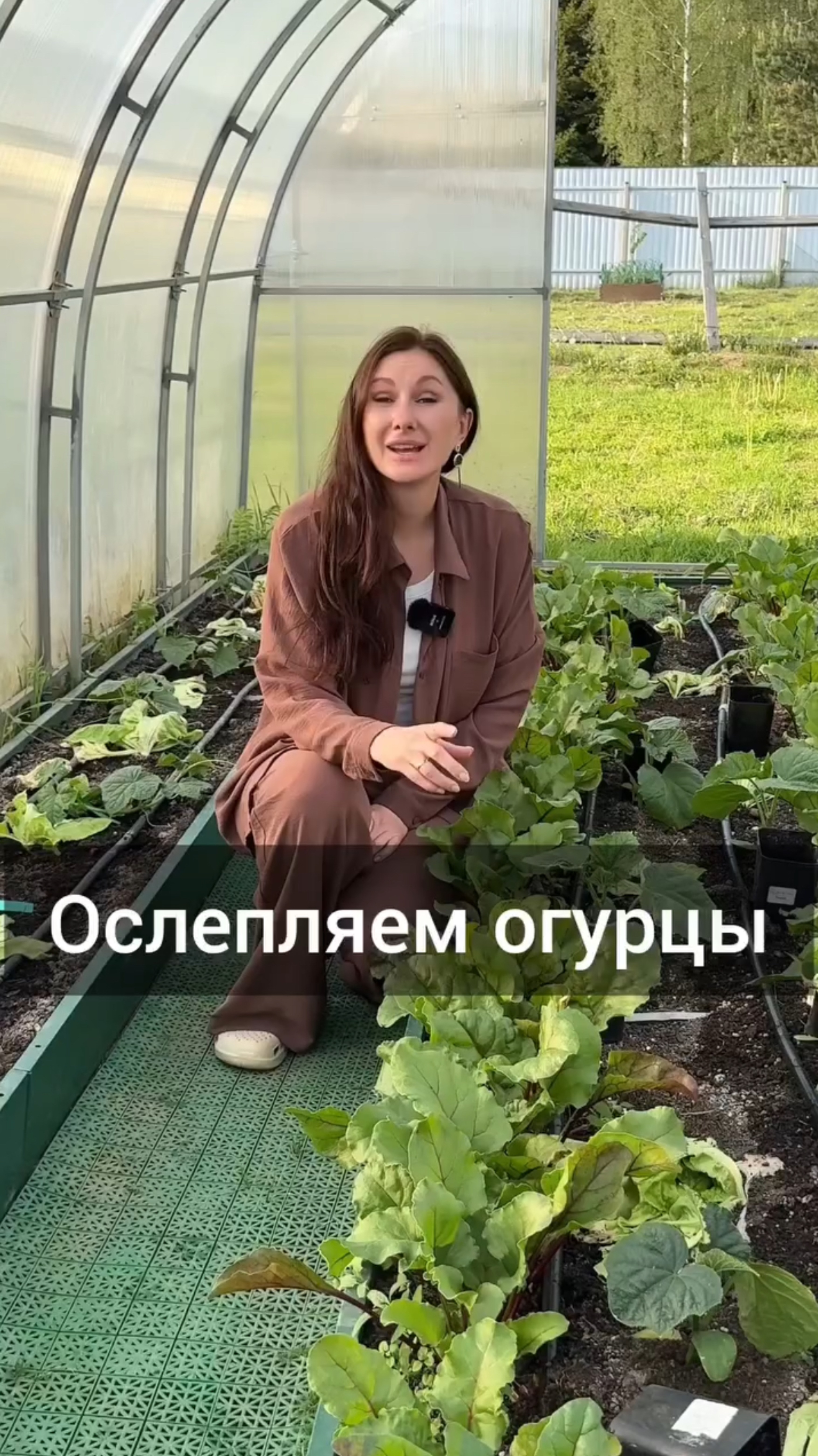 Ослепляем огурцы