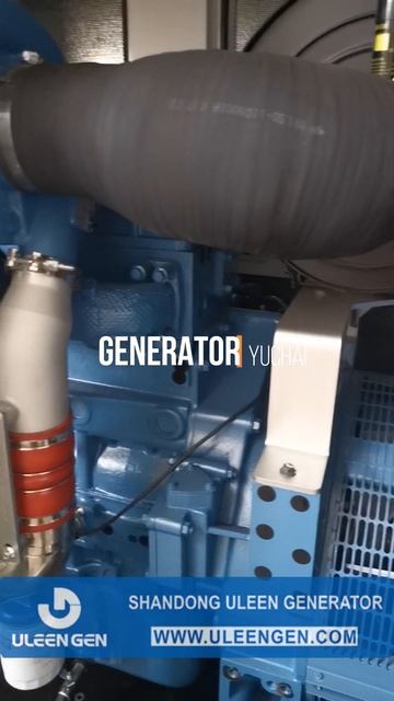 China Yuchai diesel generator set 250kw 313kva soundproof type  #genset #дизельныйгене