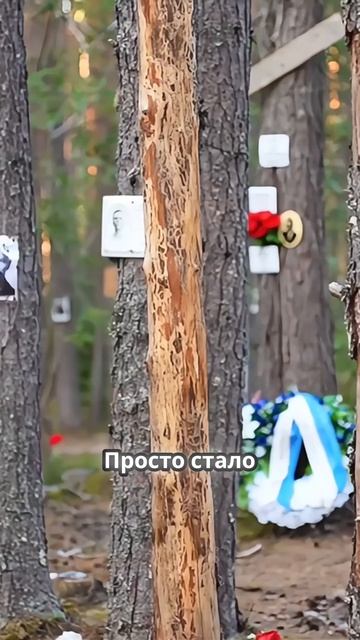 Как летнее видео о Карелии взорвало просмотры зимой