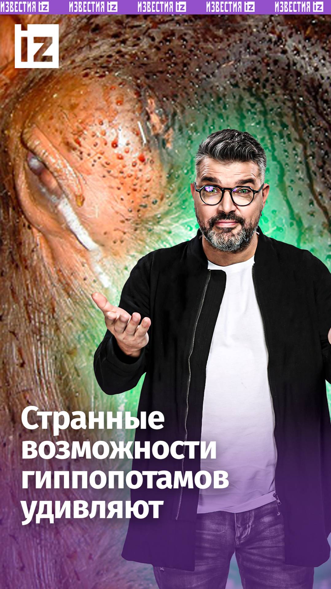 «Кровавый пот» бегемотов: что означают багровые капли на теле гиганта / "Знаете ли вы, что?"