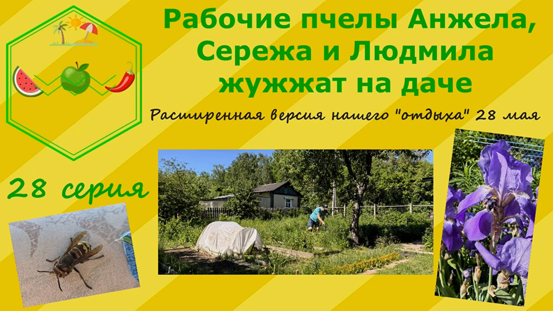 Рабочие пчелы Анжела, Сережа и Людмила жужжат на даче. Расширенная версия дачного "отдыха".28 серия