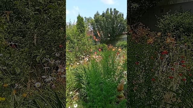 Таро.Что вы думаете о мужчине.