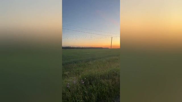 Продаётся земельный участок в г. Каменск-Уральский тракт, с. Черемхово