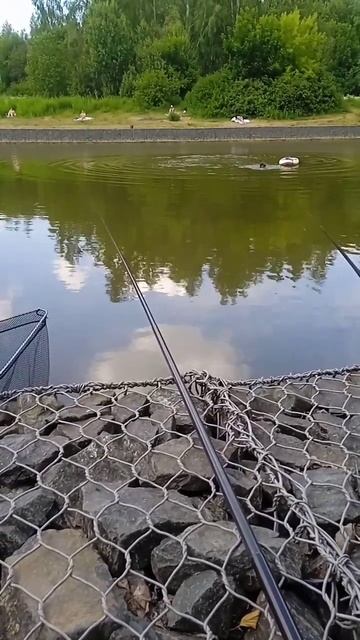 Мужик не дал спокойно половить рыбу