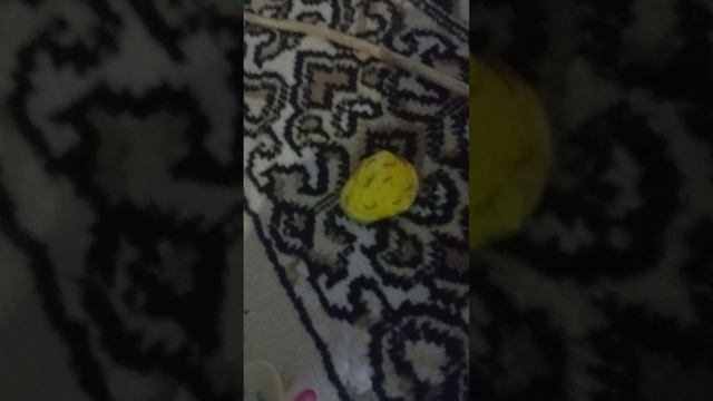 1000027374.mp4