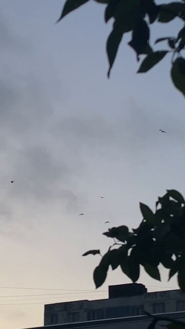Школа ушу и цигун "Врата Дракона" Новороссийск