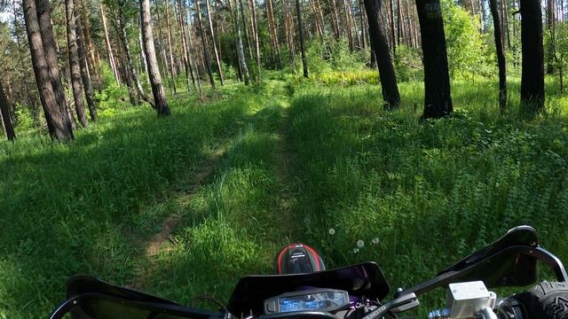 Лесные покатушки на Regul moto sport 003 pr300