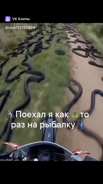 Случай на рыбалке